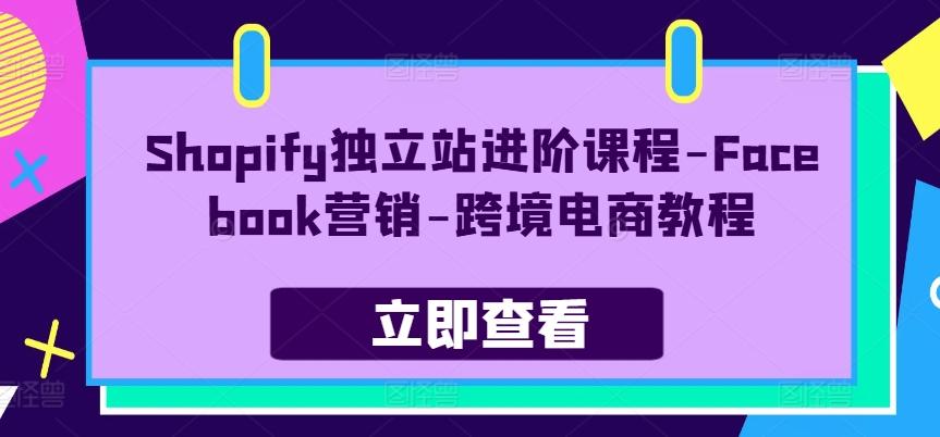 Shopify独立站进阶课程-Facebook营销-跨境电商教程-Z网创