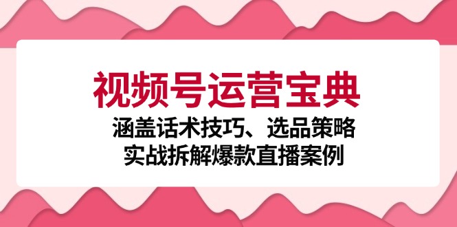 视频号运营宝典：涵盖话术技巧、选品策略、实战拆解爆款直播案例-Z网创