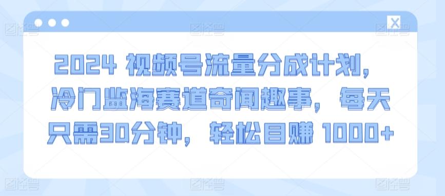 2024视频号流量分成计划，冷门监海赛道奇闻趣事，每天只需30分钟，轻松目赚 1000+【揭秘】-Z网创