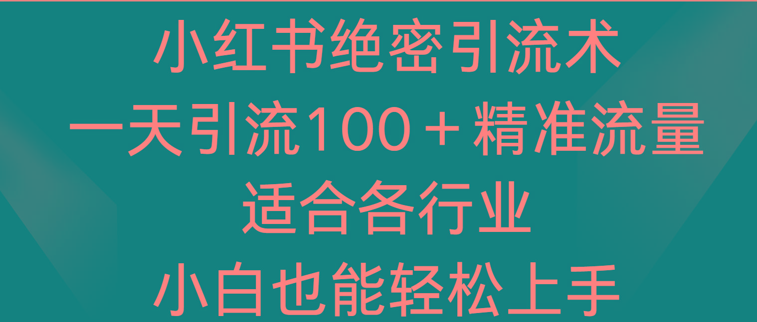 小红书绝密引流术，一天引流100＋精准流量，适合各个行业，小白也能轻松上手-Z网创