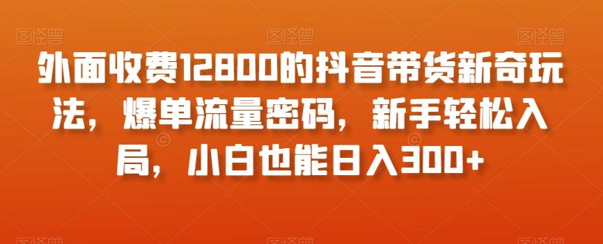 外面收费12800的抖音带货新奇玩法,爆单流量密码,新手轻松入局,小白也能日入300+【揭秘】-Z网创
