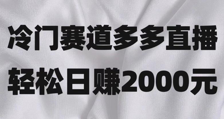 冷门赛道拼多多直播，简单念稿子，日收益2000＋【揭秘】-Z网创