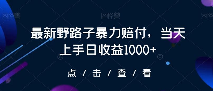 最新野路子暴力赔付，当天上手日收益1000+【仅揭秘】-Z网创