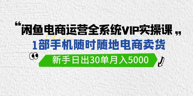 (9547期)闲鱼电商运营全系统VIP实战课，1部手机随时随地卖货，新手日出30单月入5000-Z网创
