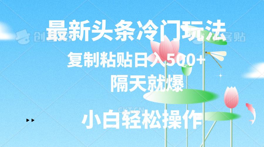 最新头条冷门玩法，隔天就爆，复制粘贴日入500+-Z网创