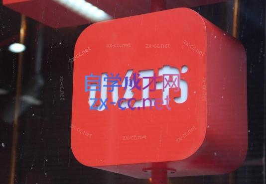 伊伊·红薯【高级班】运营课-Z网创