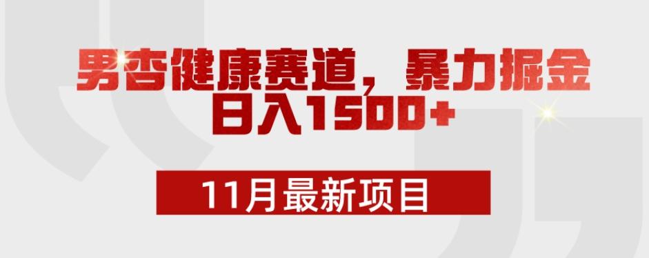 11月最新项目，男杏健康赛道，暴力掘金，日入1500+-Z网创