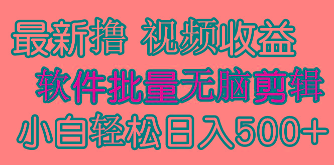 (9569期)发视频撸收益，软件无脑批量剪辑，第一天发第二天就有钱-Z网创