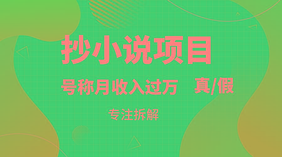 抄小说项目，号称月入过万，到底是否真实，能不能做，详细拆解-Z网创