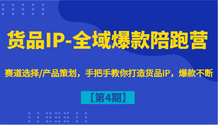 货品IP-全域爆款陪跑营【第4期】赛道选择/产品策划，手把手教你打造货品IP，爆款不断-Z网创