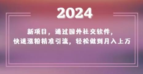 2024新项目，通过国外社交软件，快速涨粉精准引流，轻松做到月入上万【揭秘】-Z网创
