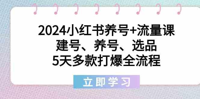 2024小红书养号+流量课:建号、养号、选品,5天多款打爆全流程-Z网创