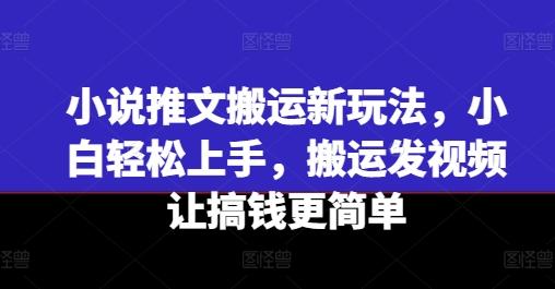 小说推文搬运新玩法，小白轻松上手，搬运发视频让搞钱更简单-Z网创