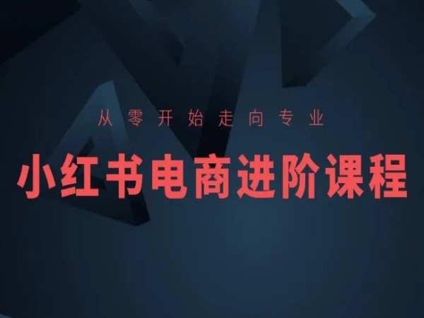 从零开始走向专业，小红书电商进阶课程-Z网创