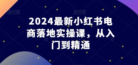 2024最新小红书电商落地实操课,从入门到精通-Z网创
