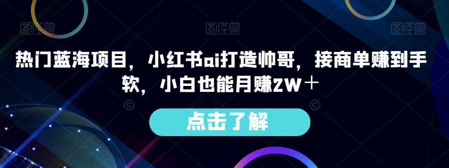 热门蓝海项目，小红书ai打造帅哥，接商单赚到手软，小白也能月赚2W＋-Z网创