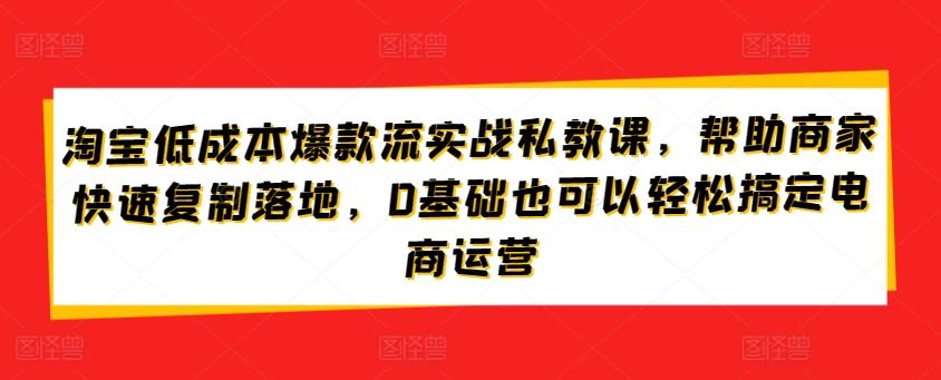 淘宝低成本爆款流实战私教课，帮助商家快速复制落地，0基础也可以轻松搞定电商运营-Z网创