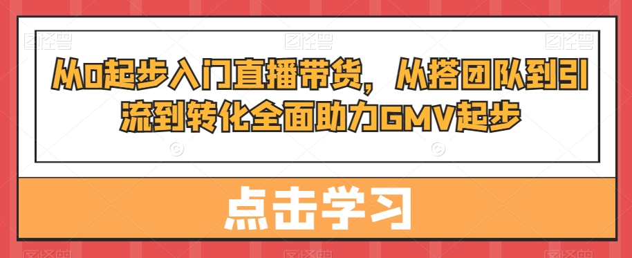 从0起步入门直播带货，​从搭团队到引流到转化全面助力GMV起步-Z网创