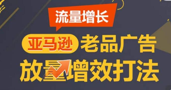 亚马逊流量增长-老品广告放量增效打法，循序渐进，打造更多TOP listing​-Z网创