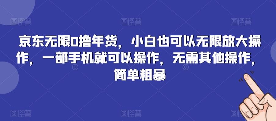 京东无限0撸年货，小白也可以无限放大操作，一部手机就可以操作，无需其他操作，简单粗暴-Z网创