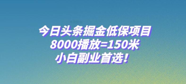 今日头条掘金低保项目，8000播放=150米，小白副业首选【揭秘】-Z网创