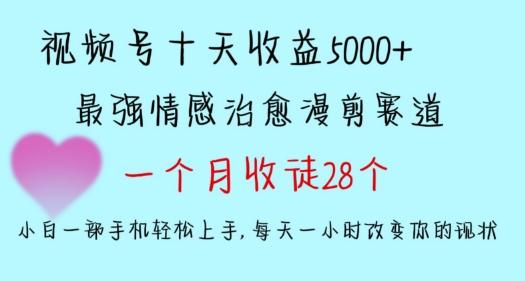 十天收益5000+，多平台捞金，视频号情感治愈漫剪，一个月收徒28个，小白一部手机轻松上手【揭秘】-Z网创