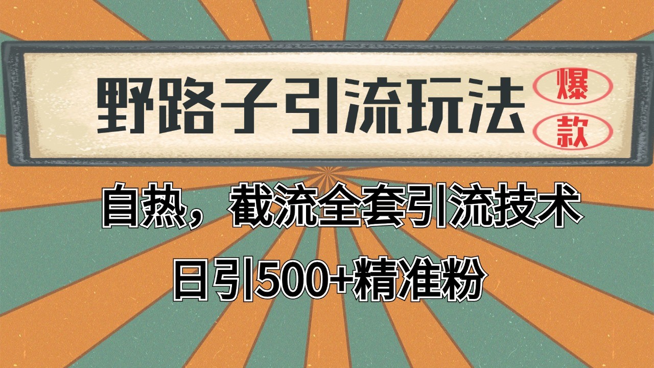 抖音小红书视频号全平台引流打法，全自动引流日引2000+精准客户-Z网创