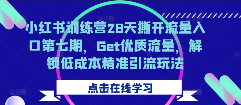 小红书训练营28天撕开流量入口第七期，Get优质流量，解锁低成本精准引流玩法-Z网创
