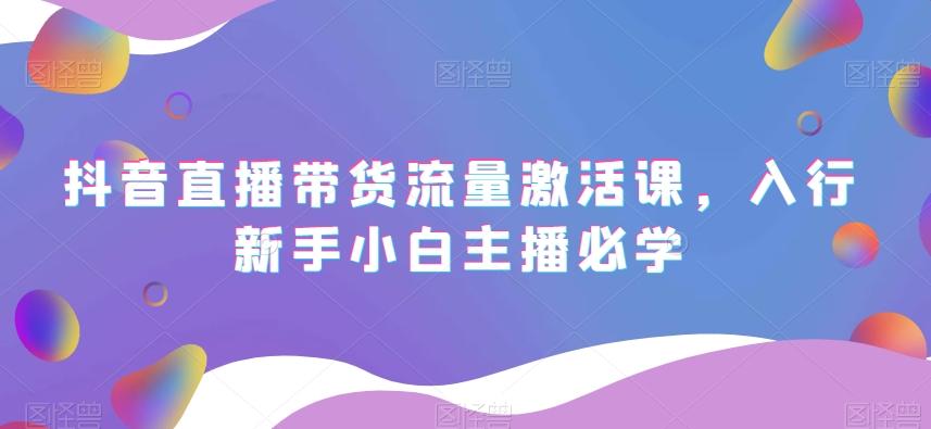 抖音直播带货流量激活课，入行新手小白主播必学-Z网创