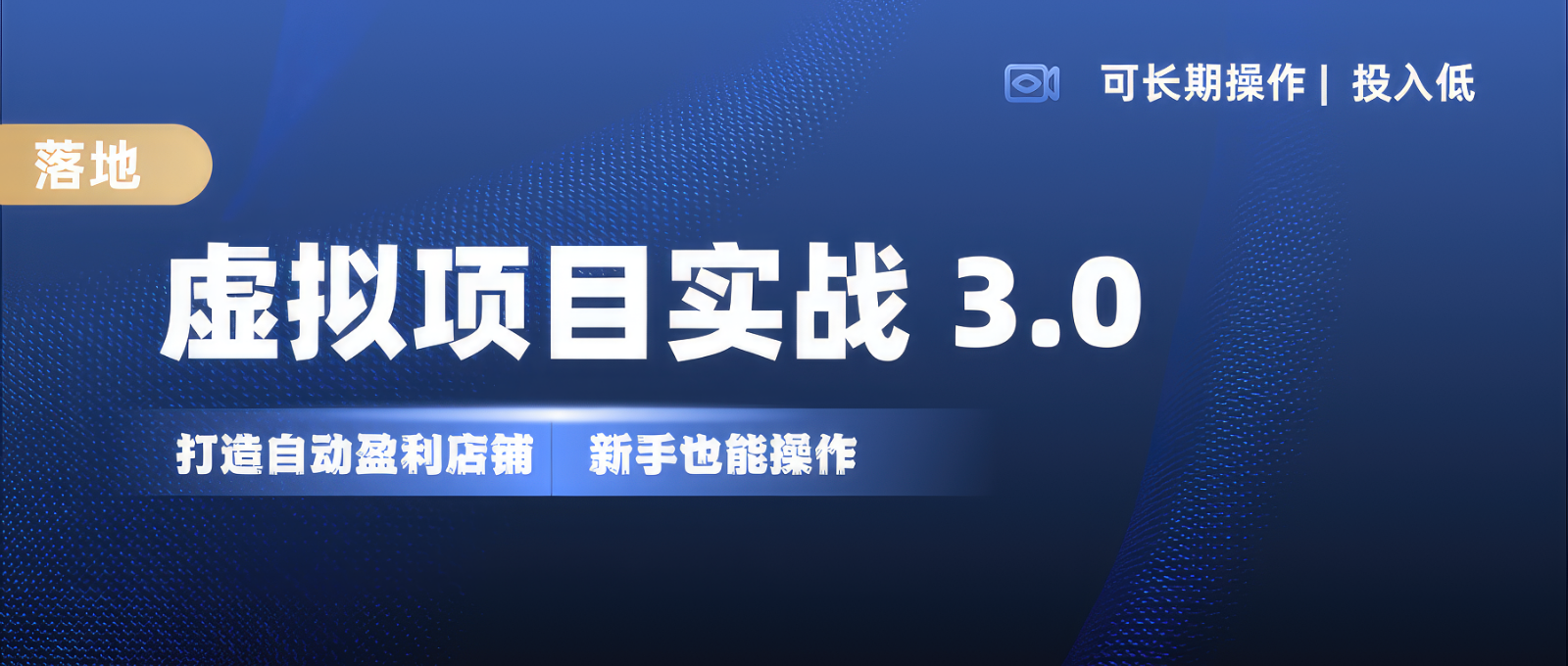 虚拟项目实操落地 3.0,新手轻松上手，单品月入1W+-Z网创