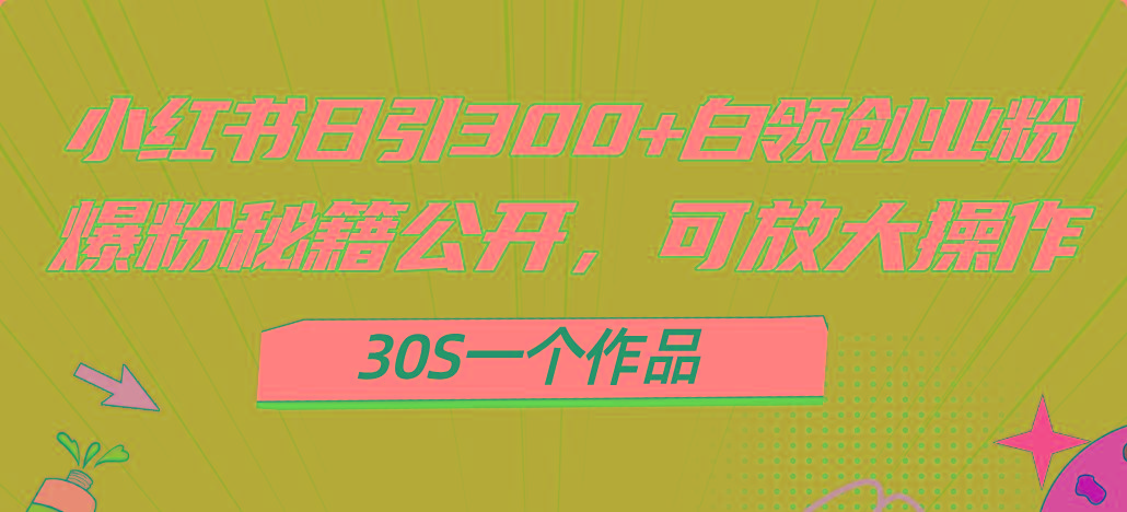 小红书日引300+高质白领创业粉，可放大操作，爆粉秘籍！30s一个作品-Z网创