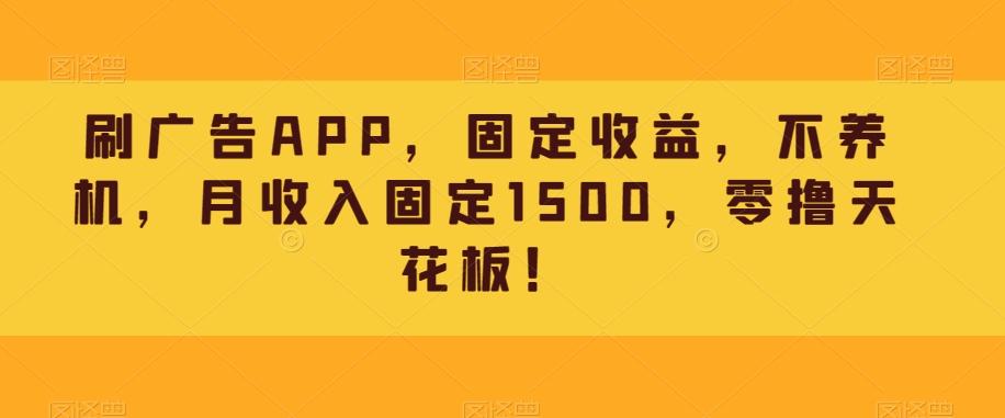 刷广告APP，固定收益，不养机，月收入固定1500，零撸天花板！-Z网创
