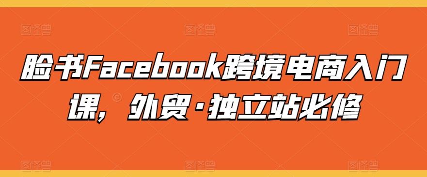 脸书Facebook跨境电商入门课，外贸·独立站必修-Z网创