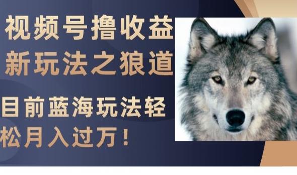 视频号撸收益新玩法之狼道,目前蓝海玩法,轻松月入过万【揭秘】-Z网创