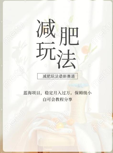 减肥流量主新玩法，轻松月入1W，可矩阵操作收入翻倍-Z网创