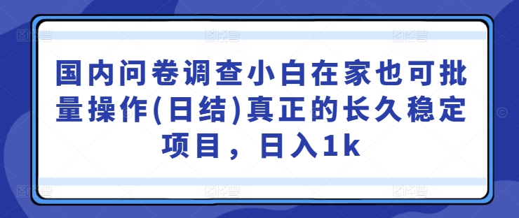 国内问卷调查小白在家也可批量操作(日结)真正的长久稳定项目，日入1k【揭秘】-Z网创