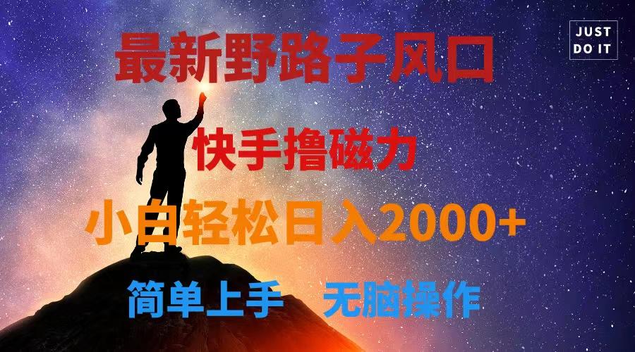 最新风口！快手撸磁力，野路子，小白无脑操作日入2000+-Z网创