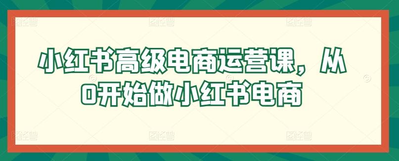 小红书高级电商运营课，从0开始做小红书电商-Z网创