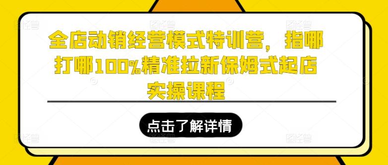 全店动销经营模式特训营,指哪打哪100%精准拉新保姆式起店实操课程-Z网创