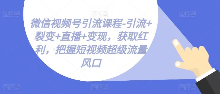 微信视频号引流课程-引流+裂变+直播+变现，获取红利，把握短视频超级流量风口-Z网创