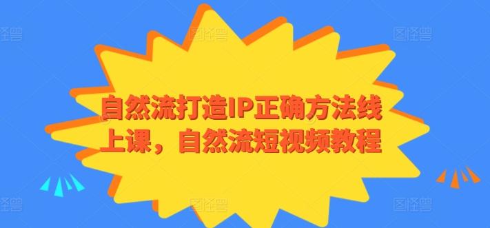 自然流打造IP正确方法线上课,自然流短视频教程-Z网创