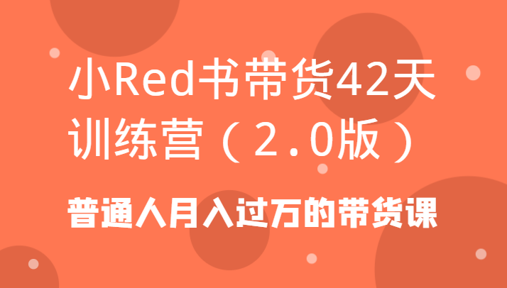 小Red书带货42天训练营(2.0版)普通人月入过万的带货课-Z网创