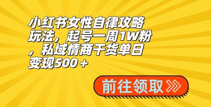 小红书女性自律攻略玩法，起号一周1W粉，私域情商干货单日变现500＋-Z网创