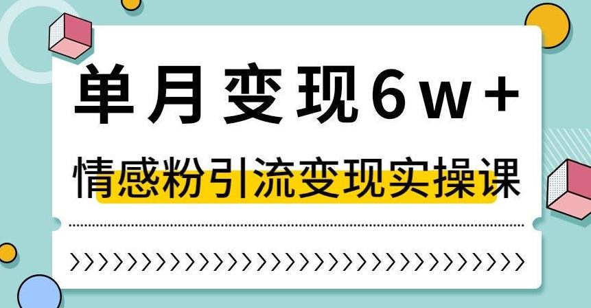 单月变现6W+,抖音情感粉引流变现实操课,小白可做,轻松上手,独家赛道【揭秘】