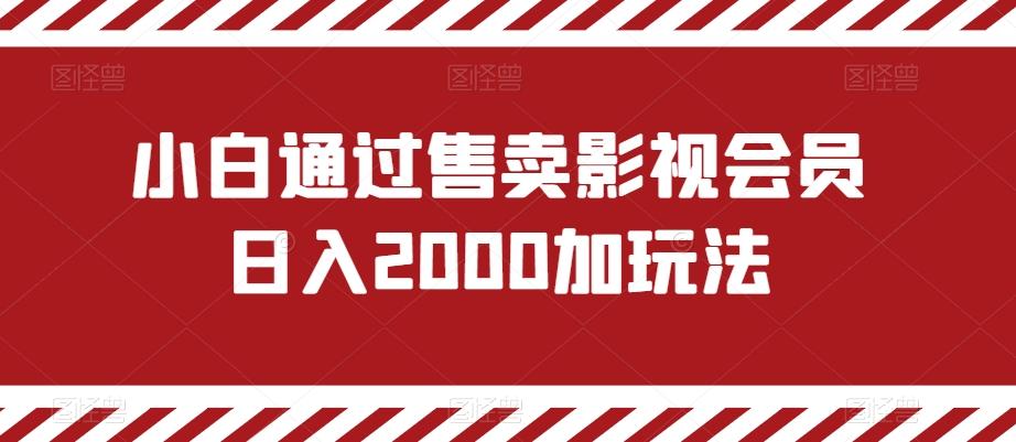 小白通过售卖影视会员日入2000加玩法-Z网创