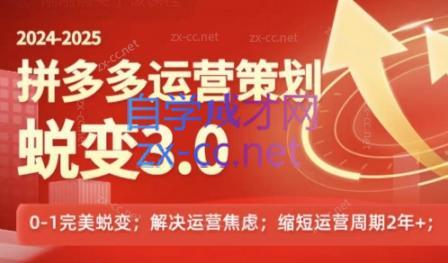 大力老师·2024拼多多运营策略蜕变3.0-Z网创