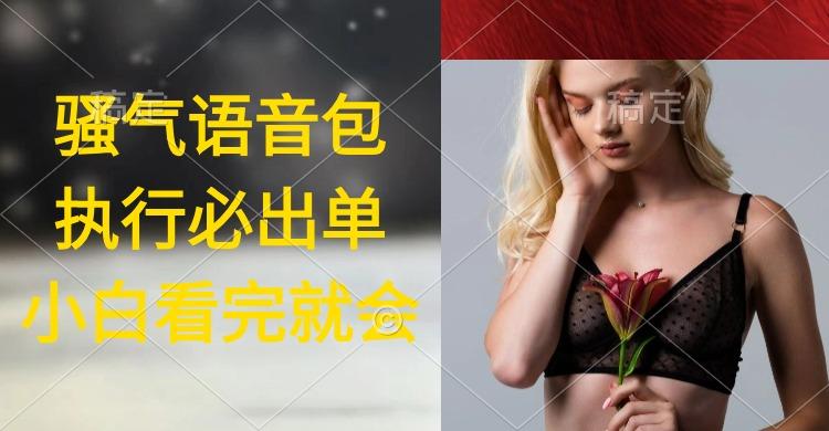 (9589期)执行就出单，日入2000+，超火骚气语音包，小白看完课程就能马上实操-Z网创