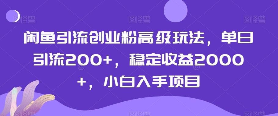 闲鱼引流创业粉高级玩法，单日引流200+，稳定收益2000+，小白入手项目-Z网创