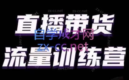 婉婉·直播带货课程系列合集(更新8月)-Z网创