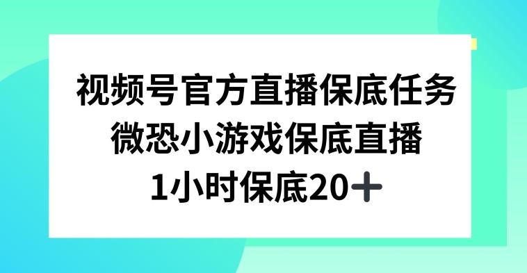 视频号直播任务，微恐小游戏，1小时20+【揭秘】-Z网创